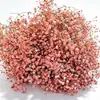 Ramo de Gipsófila Flores Secas Flores Eternas Materiales para Manualidades Flores Reales Decoración de Halloween Navidad Artículos de Regalo