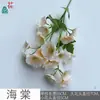 Begonia, Flor de Espino Blanco, Decoración de Pared Floral para Restaurante Salón de Banquetes, Arreglo Floral de Imitación, Flor Artificial, Flor Artificial para Paisajismo de Hotel de Alta Gama