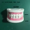 Modelo Dental Cepillado Oral Dentadura Postiza Boca Completa Dental Removible Encía Suave Transparente Implante Resina Preparación Dental Molde Dental
