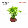 Paisagismo de Aquário Plantas Aquáticas Preguiçosas Grama de Fundo Médio Pedra Vulcânica Plantas Aquáticas Pacote para Iniciantes de Aquário Banyan d'Água Plantas Vivas
