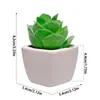 Mini Suculentas, Pequenas Flores Bonsai, Ornamentos Criativos, Plantas, Dropshipping, Dropshipping para Casa Aliexpress, Plantas Verdes
