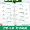 Entrenamiento de Fonética Pinyin de Primer Grado con Consonantes Iniciales y Vocales Chinas Alfabeto Silábico General para Estudiantes de Primaria