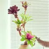 Paquete Combinado de Bromelias Set Grande Mediano Pequeño Madera Flotante de Selva Paisajismo Acuático Micro Paisaje Planta de Aire Otro