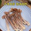 Hongos de Terciopelo Secos de Corte Fino Premium, Hongos de Terciopelo sin Azufre para Sopa e Ingredientes para Fondue al Por Mayor