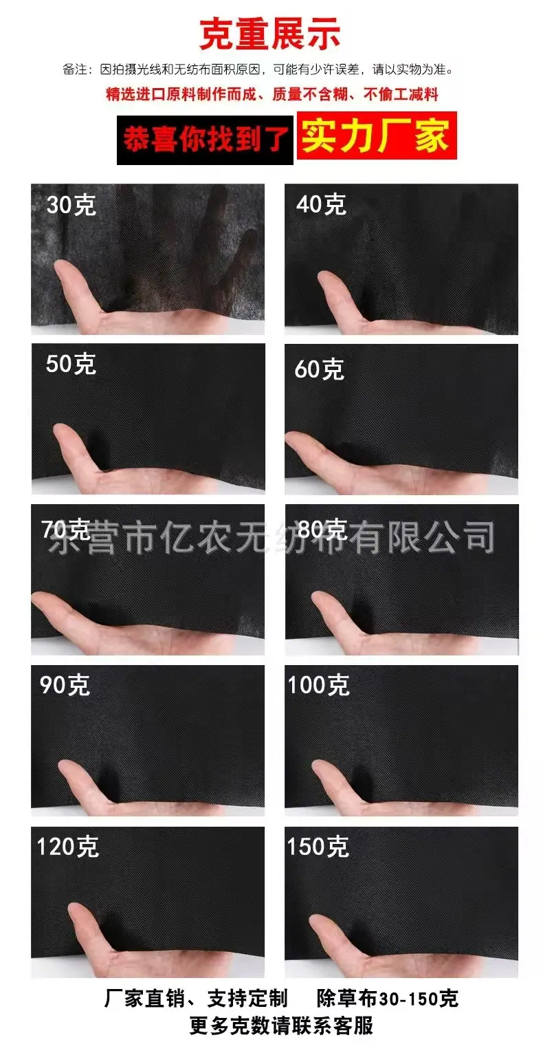 987fe26d2cb506e2008168e3fc3e67