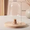 Frasco Espiral de Vidrio para Cerillos, Botella Corrugada de Vidrio de Alto Borosilicato para Cerillos, Frasco para Guardar Frijoles, Botella Invertida para Semillas