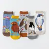 Calcetines Nuevos de Primavera 2026 Creativos y Modernos Calcetines Cortos para Mujer Calcetines Casuales para Tobillo Calcetines de Algodón de Corte Bajo Venta al por Mayor