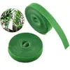 Amarre Verde para Plantas Cierre de Velcro Verde de Gancho y Bucle Amarre para Plantas Sin Daño a las Plantas Amarre de Fijación de Soporte Fijación