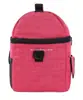 Regalos Corporativos Paquete Aislamiento Poliéster Bolsa Refrigerada Poliéster Aislamiento Lonchera Bolso de Mano Fábrica Personalizada