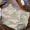 Encaje sexy puro Viento de Palacio sin costuras Algodón entrepierna seda de hielo Tamaño de cintura Cadera Ropa interior para damas Venta al por mayor