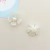 Pétalas de Flor de Pérola Transparente Borboleta Acessórios de Joia DIY Sapatos com Furos Decoração de Flor para Sapato Acessórios Prontos para Venda