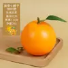 Simulação Gannan umbigo laranja modelo Sunkis laranja espuma falso frutas ornamentos fotografia adereços frutas decoração exibição
