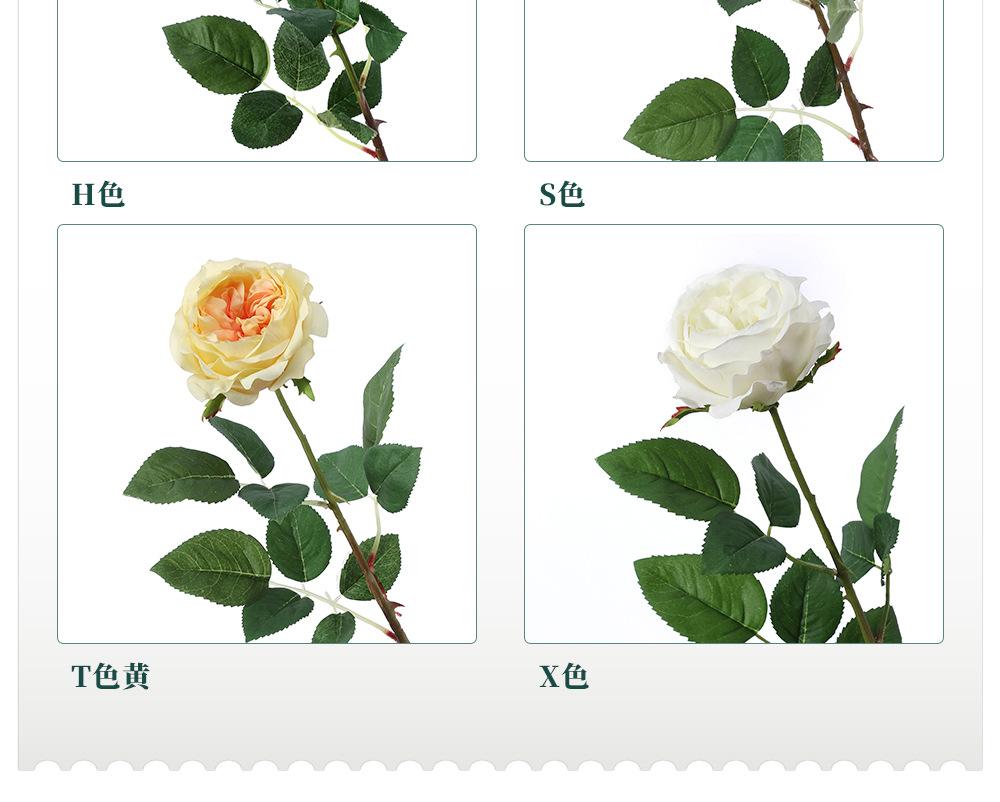 奥斯汀玫瑰单枝_04.jpg