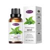 Aromaterapia soluble en agua transfronteriza 30ml dormitorio lavanda planta incienso soluble en agua humidificador aceite esencial mayoreo