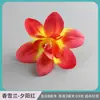 Cabezas de Flores Artificiales, Flores de Orquídea de Nieve, Flores para Pasador de Orquídea, Arreglos Florales Decorativos para Hoteles y Restaurantes, Cabezas de Flores para Muñeca, Ramilletes de Flores