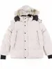Jaqueta Canada Goose de Penas 2025 Wyndham Mesmo Estilo 29 Modelos Casaco Parka Wyndham Masculino e Feminino 380