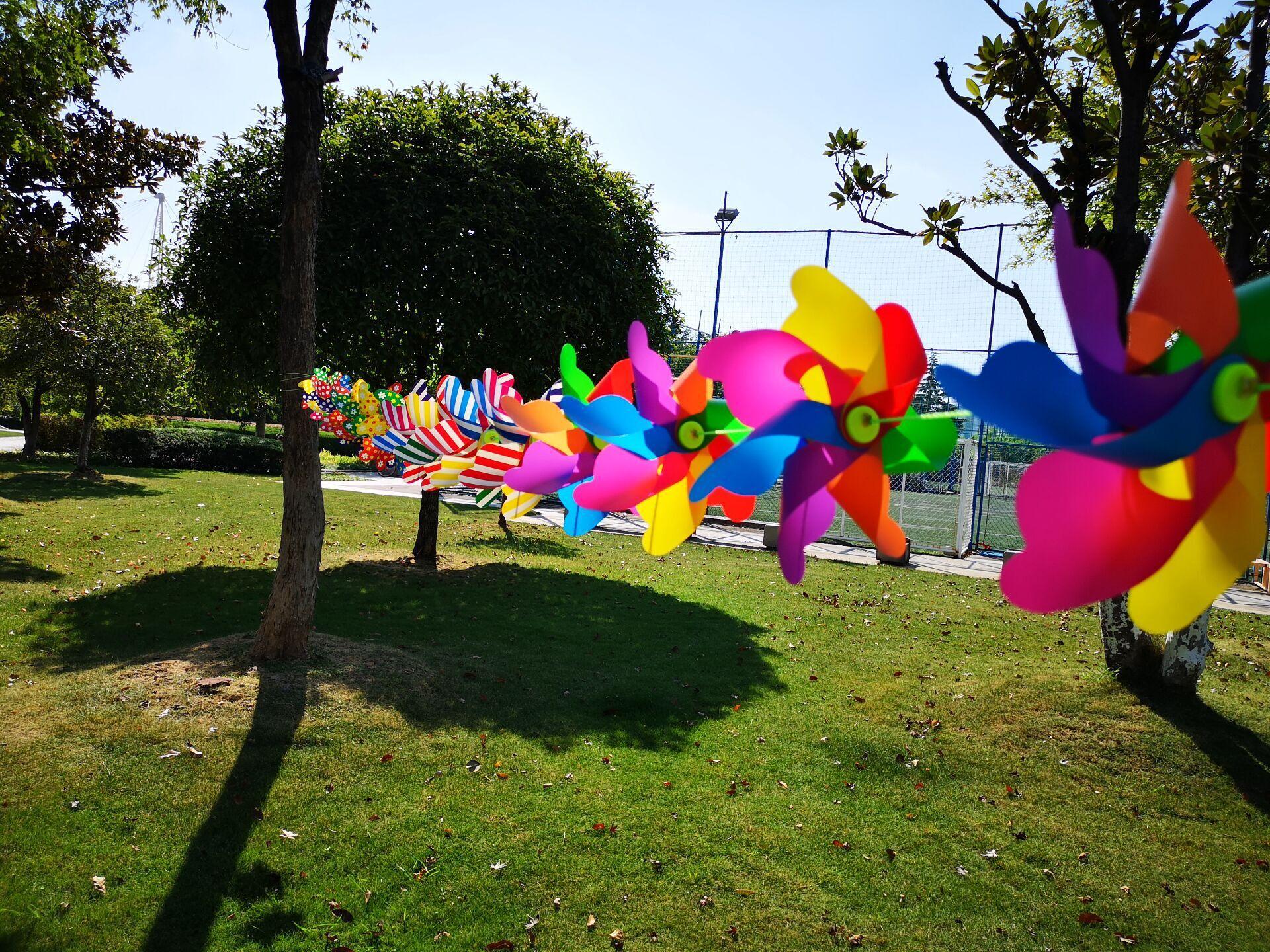 QQ图片20190923162958