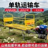 Veículo de Transporte de Montanha de Via Única, Veículo de Transporte de Esteira de Escalada de Grande Capacidade de Carga, Veículo de Transporte de Via Única para Transferência de Frutas e Vegetais Agrícolas e Insumos Agrícolas