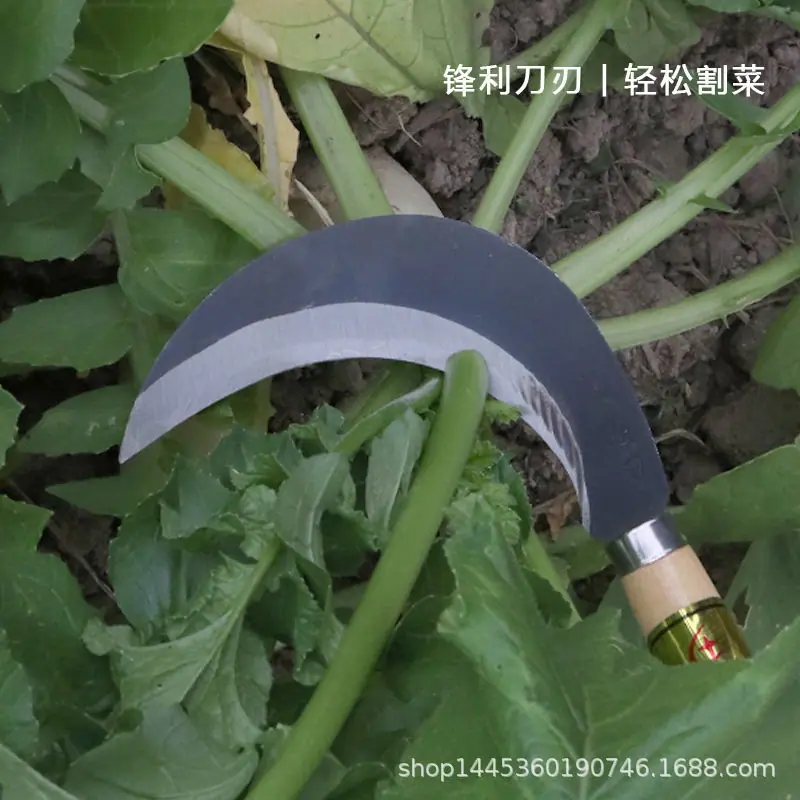 d2431c92-3a8a-4a43-9717-ceb945