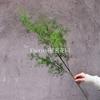 Simulación de hierba de coral verde hierba de pez dorado pino niebla hierba de niebla camino de boda de otoño camino plomo verde mayorista transfronterizo