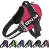 Arnés Transfronterizo para Perro, Correa para Perro, Cuerda de Tracción, Arnés Retráctil Ajustable para Perros Medianos y Grandes, Arnés para Perros Pequeños