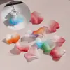 Monocromático Dos Tonos Escarchado Degradado Flor de Pétalo Aretes DIY Colgante Acrílico Personalizado Accesorios para Pasador Venta al por Mayor
