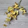 Flor Simulada Redonda Eucalipto Hoja de Dinero Flor Falsa Cinta Manzana 3D Eucalipto Planta Simulada Material de Hoja de Gama Alta