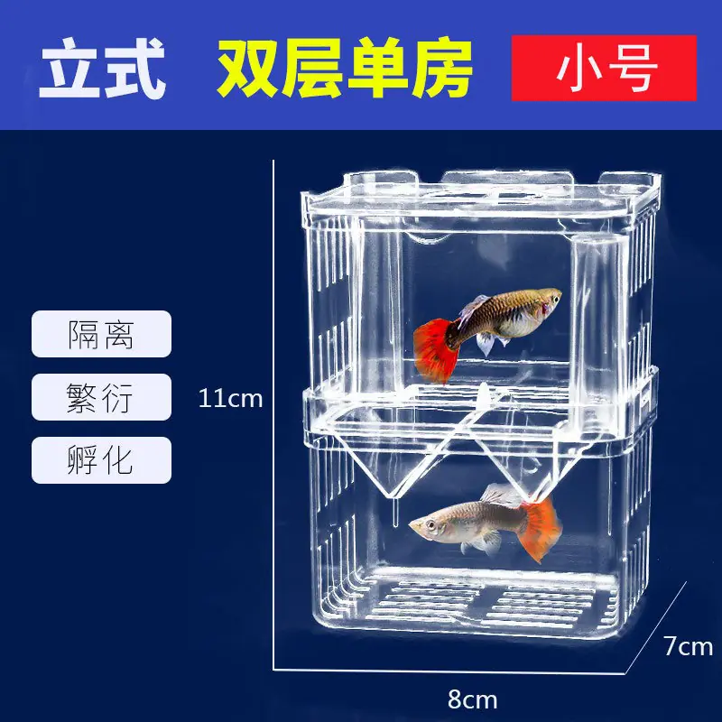 cbe0a17f14199160.jpg