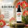 [Potenciador de Floración] Solución nutritiva especial para Anturios, promueve la floración, extiende el período de floración, previene el amarillamiento de las hojas y es un fertilizante líquido listo para usar