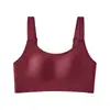 Sujetador Delgado para Pechos Grandes, Aro Pequeño de Acero, Sujetador Push-Up Anticaída para Mujer, Ajustable, Taza Grande, Talla Grande