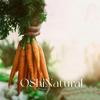 Aceite de semilla de zanahoria orgánico de grado comestible polaco, proveedor de materia prima de aceite base para el cuidado de la piel vegetal virgen prensado en frío de nicho.