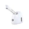 Vaporizador Facial de Arroz Dorado, Vaporizador Nasal, Vaporizador Facial, Dispositivo de Belleza, Dispositivo Hidratante, Máquina de Spray Hidratante, Vaporizador de Niebla, Dispositivo de Vaporización