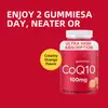 Gomitas de Coenzima Q10 de Amazon Transfronterizas, Todo en Inglés, Gomitas Populares de Alta Calidad al por Mayor
