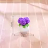 Maceta pequeña creativa de simulación de paisaje en miniatura, accesorios de decoración DIY para casa de muñecas, adornos mini de escritorio en miniatura