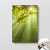 Transfronterizo Moderno Bosque Luz y Sombra Verde Paisaje Apartamento Casa de Familia Dormitorio Sala de Estar Lienzo Pintura Decorativa Núcleo Pintura Colgante Sin Marco
