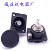 Enchufe Hembra RCA Cubierto Cargador de Vehículo Eléctrico Enchufe de Loto Enchufe Hembra Enchufe AV de Audio Placa Amplificador de Potencia Enchufe