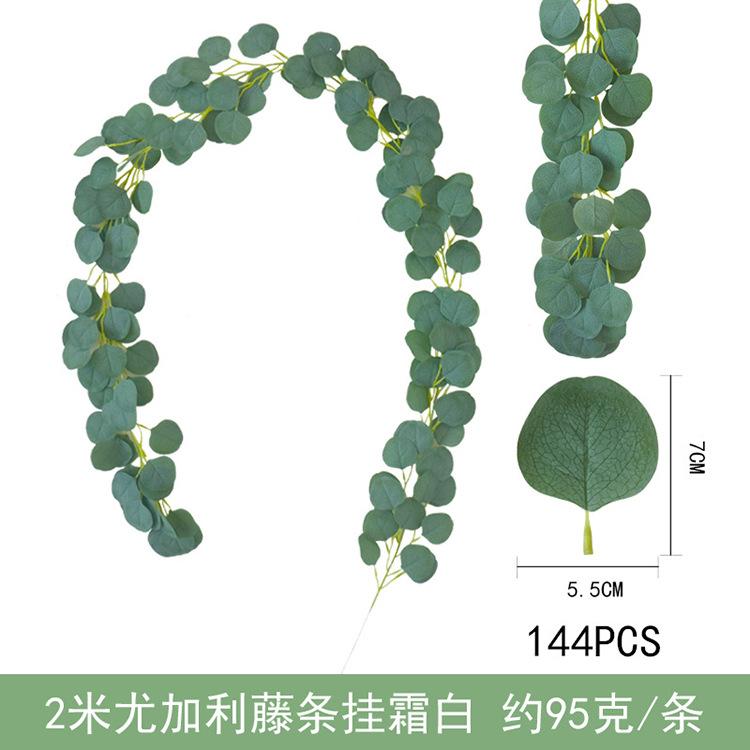 2米尤加利藤条-挂霜白.jpg