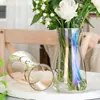 Vaso de Vidro Iridescente Criativo Simples Transparente Hidropônico Rosa Lírio Decorativo Pequeno Vaso de Flores Vaso para Arranjo de Flores Ornamento