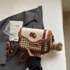 Bolsos de Mujer de Nicho 2026 Nueva Moda Elegante Versátil Moderno para Viajes Diarios Casuales Dulce Lindo Bolso de Hombro Cruzado