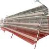Jaula de cría de gallinas ponedoras de gran tamaño en niveles, jaula galvanizada para gallinas ponedoras, equipo mecánico automático de limpieza de estiércol en niveles, totalmente automático