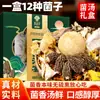 Paquete de Sopa de Hongos de Yunnan de la Academia de Ciencias Agrícolas de Yunnan, Sopa de Pollo Guisado con Hongos, Paquete de Ingredientes para Sopa de Hongos Secos Morel y Matsutake, Artículo de Regalo