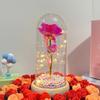 Abajur de Vidro Rosa 520 Dia dos Namorados Flor Artificial Pronto para Uso Presente de Natal Aniversário Enfeites Criativos