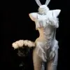 Uniforme de coelhinha cosplay de renda sexy lingerie erótica slim-fit transparente com suspensório vazado camisola qqny1824
