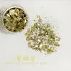 Fragmentos de Foil Dorado, Foil Dorado de Alto Brillo Dorado y Plateado Celebridad de Internet, Lentejuela Versátil Deslumbrante Estilo Ins, Deslumbrante Estilo Japonés