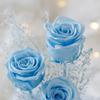 Presente Dia dos Namorados Rosa Caixa de Flores Acrílica Cristal Amor Aniversário de Menina Flor Eterna Personalizada Romântica Flor Presente