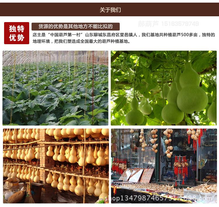 新手捻葫芦_19