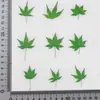 Hoja de Arce Rojo Flor Seca Espécimen de Planta en Relieve Enseñanza Pegamento Funda para Teléfono Móvil Marcapáginas Hecho a Mano para Niños Marco de Fotos Calcomanía en Relieve