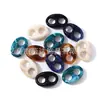 33X22mm Retrô Acrílico Moldado por Injeção Casco de Tartaruga Nariz de Porco DIY Bolsa Corrente de Bolsa Colar Brincos Acessórios Material Bolsa