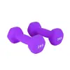 Superficie Brillante Esmerilada Hexagonal Recubierto por Inmersión Equipo de Fitness para el Hogar para Mujeres Mancuernas Hexagonales de Hierro Fundido Recubierto de Goma Recubierto por Inmersión Venta al por Mayor Transfronteriza