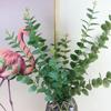 Impresión 3D Eucalipto Lujo Accesible Estilo Hoja de Dinero Flor para el Hogar Adornos de Interior Decoración de Mesa para Sala de Estar Flor Artificial Venta al por Mayor